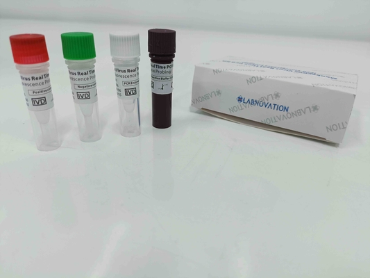 طقم اختبار PCR لجدري القرود في الوقت الحقيقي مع تحكم إيجابي / سلبي