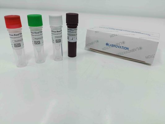 جودة  Real Time Monkeypox PCR Test Kit With Positive / Negative Control مصنع