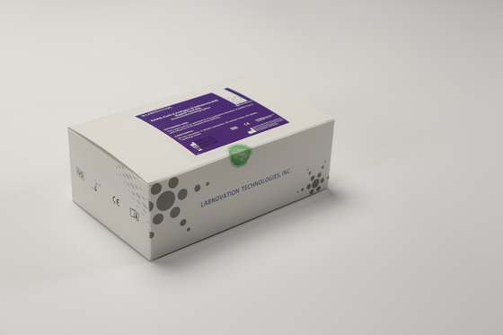 Labnovation 20 Test Influenza AB Test Kit للعلاج المبكر